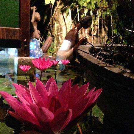 The Lotus Garden Bed & Breakfast Puerto Princesa Екстериор снимка