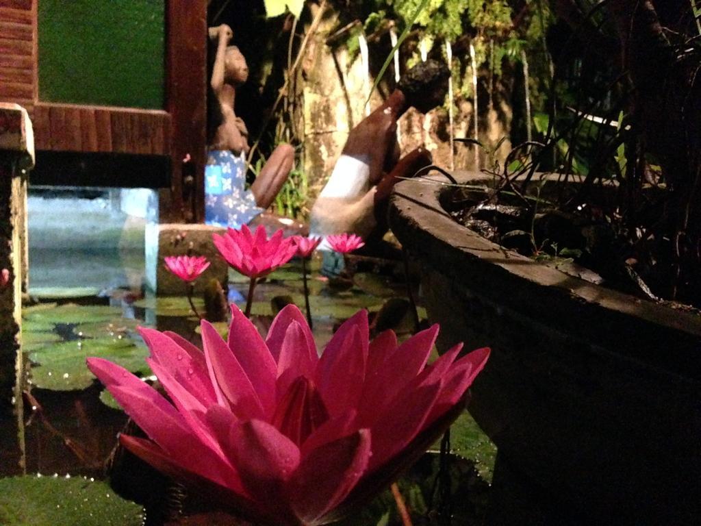 The Lotus Garden Bed & Breakfast Puerto Princesa Екстериор снимка