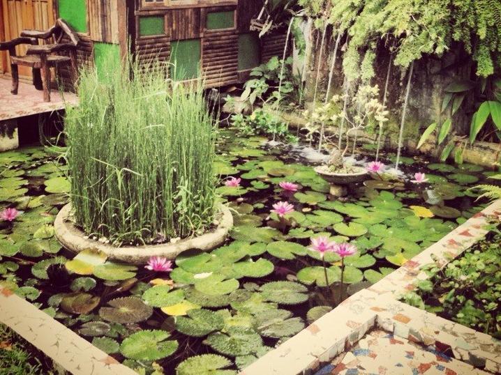 The Lotus Garden Bed & Breakfast Puerto Princesa Екстериор снимка